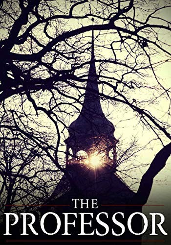 The Professor (A Riveting Kidnapping Mystery Series)