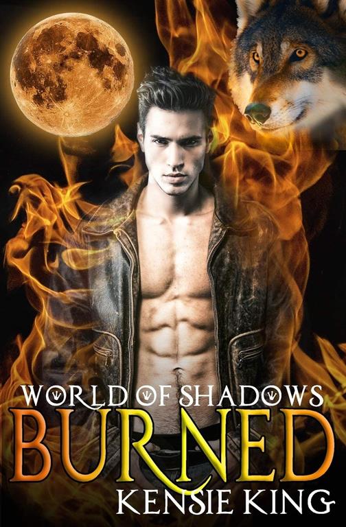 Burned: Paranormal Gay Romance (World of Shadows)