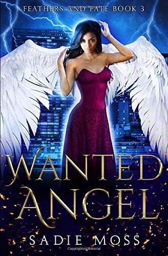 Wanted Angel: A Reverse Harem Paranormal Romance (Feathers and Fate)