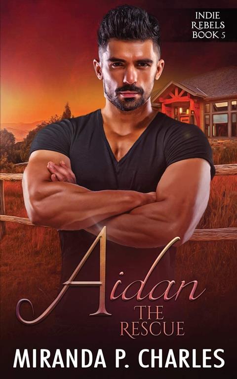 Aidan: The Rescue (Indie Rebels Book 5)