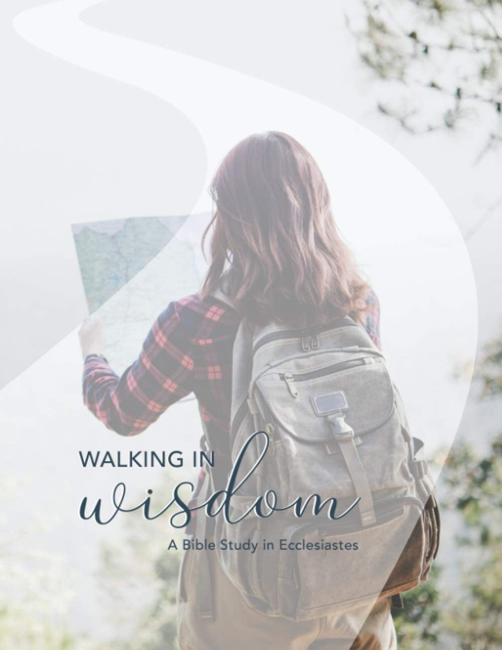 Walking in Wisdom: A Bible Study in Ecclesiastes