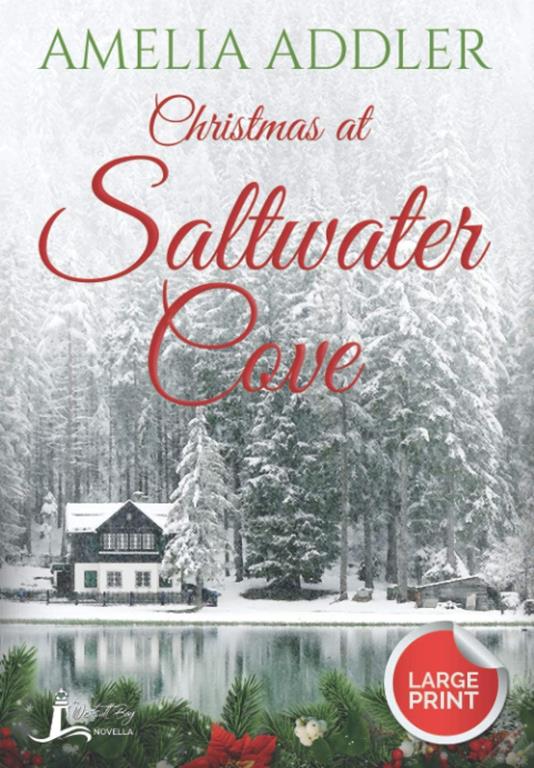 Christmas at Saltwater Cove: a Westcott Bay novella