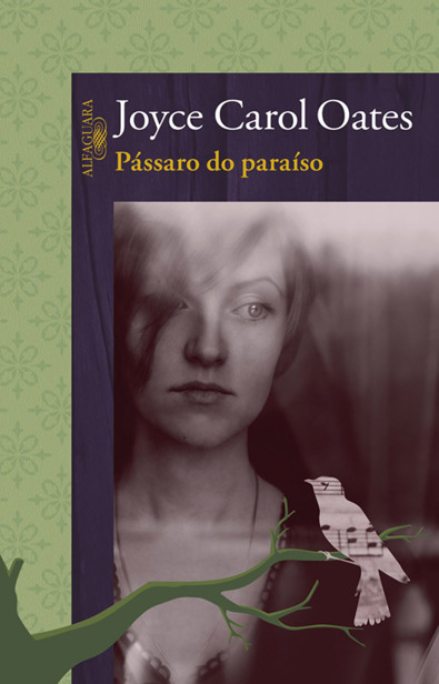 Pássaro do paraíso