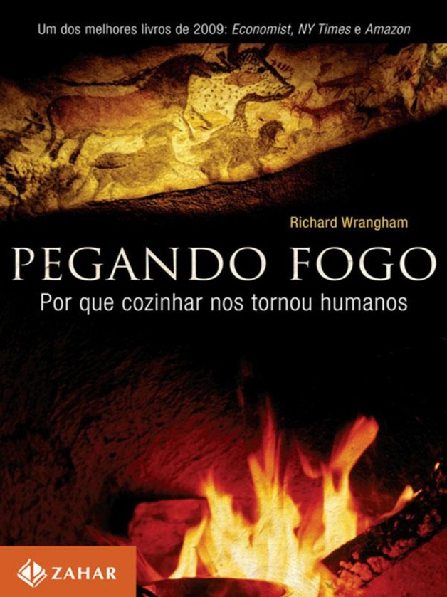 Pegando fogo: Por que cozinhar nos tornou humanos