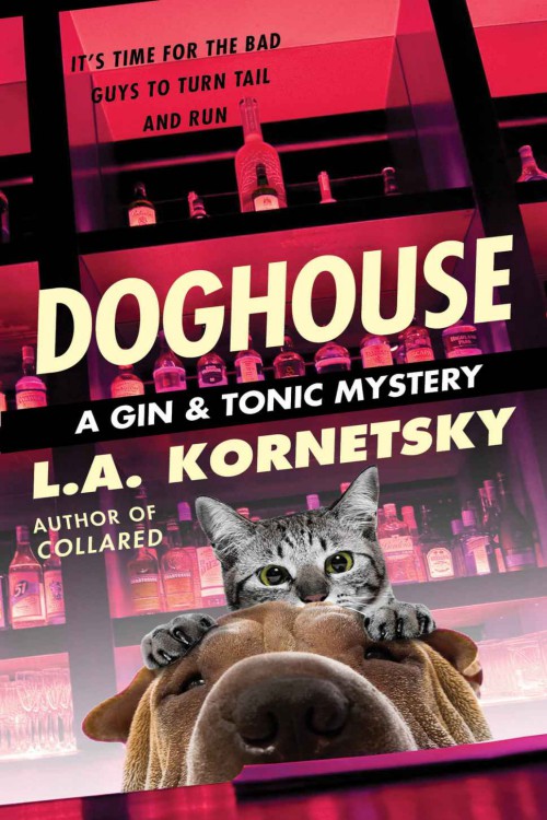 03-Doghouse