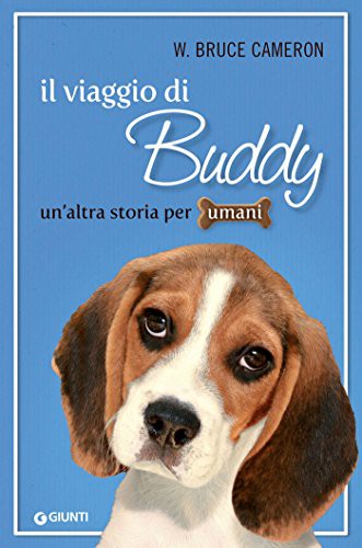 Il viaggio di Buddy (Italian Edition)