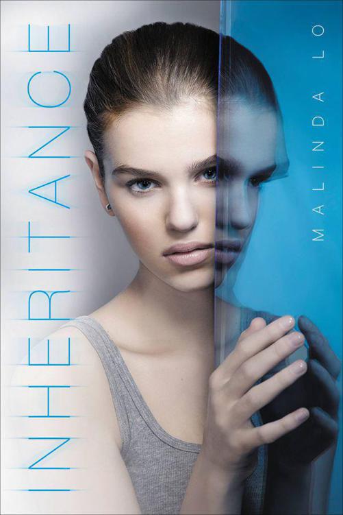 Adaptation 2: Inheritance