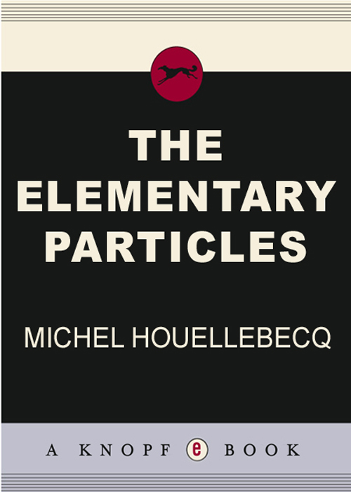 The Elementary Particles