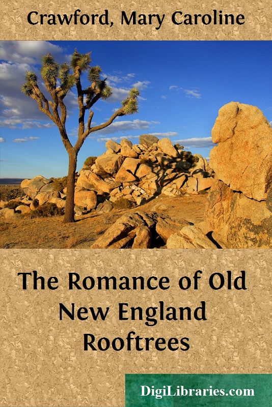 The Romance of Old New England Rooftrees