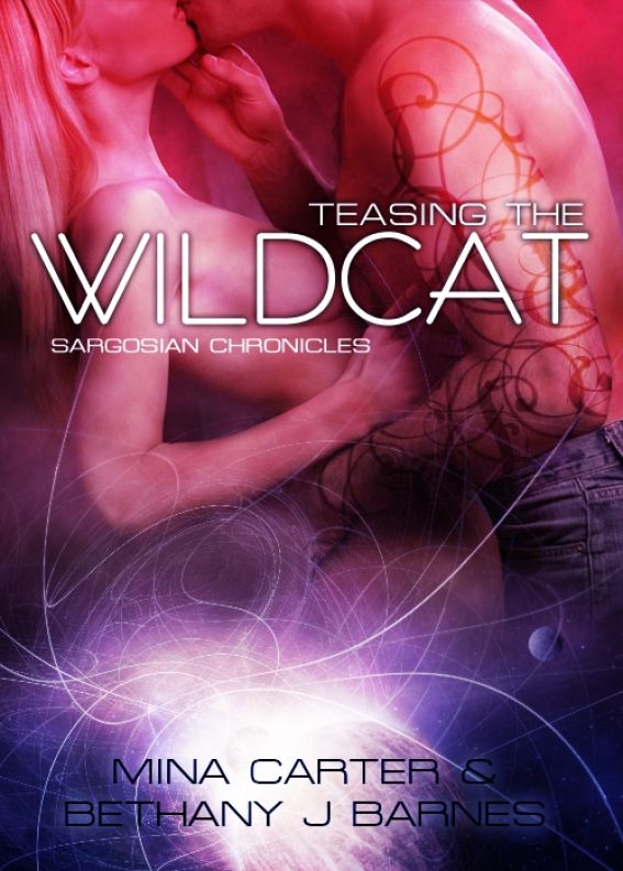 Teasing the Wildcat