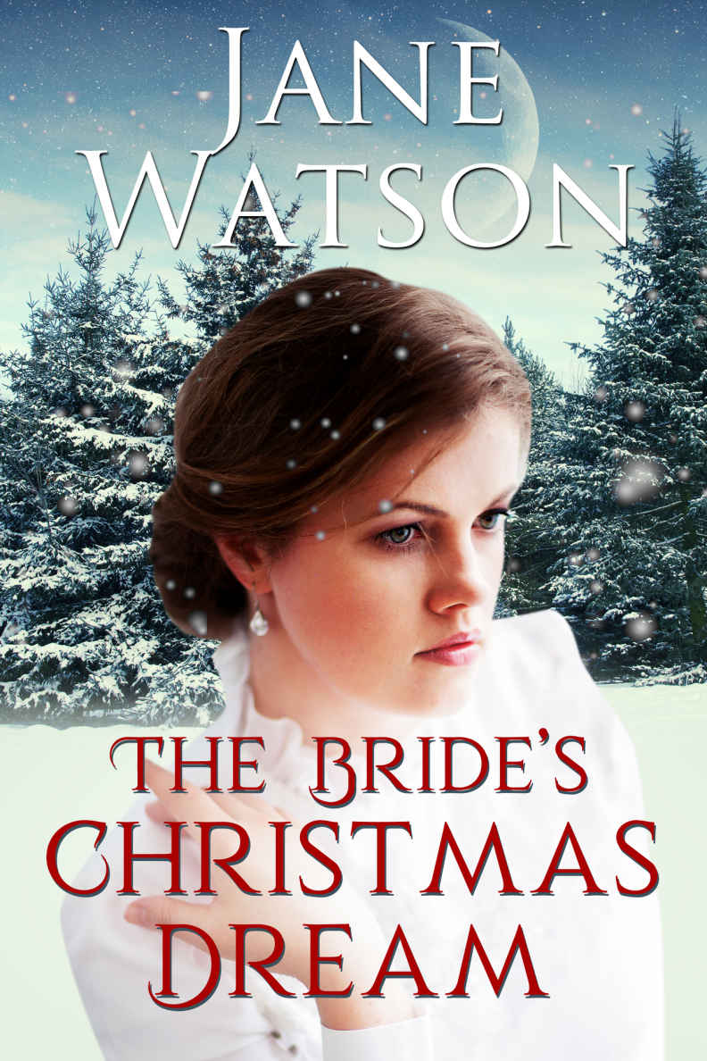 The Bride's Christmas Dream