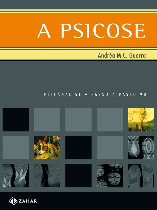 A Psicose (Passo-a-Passo Psicanálise Livro 90)