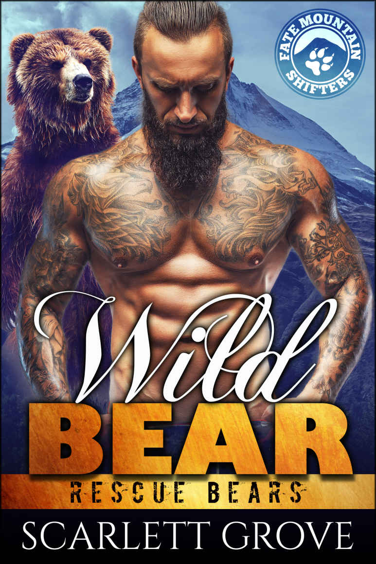 Wild Bear