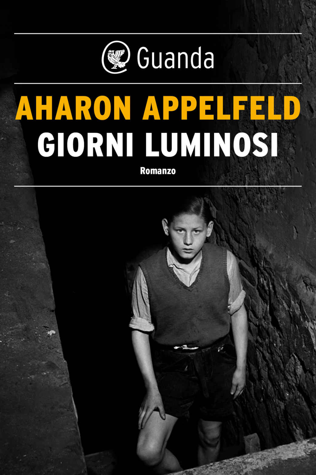 Giorni luminosi (Italian Edition)