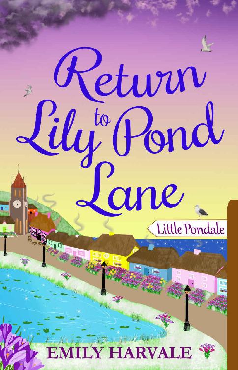 Return to Lily Pond Lane