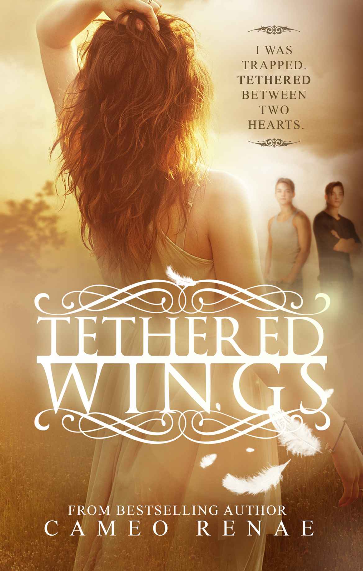 Tethered Wings (Hidden Wings #3)