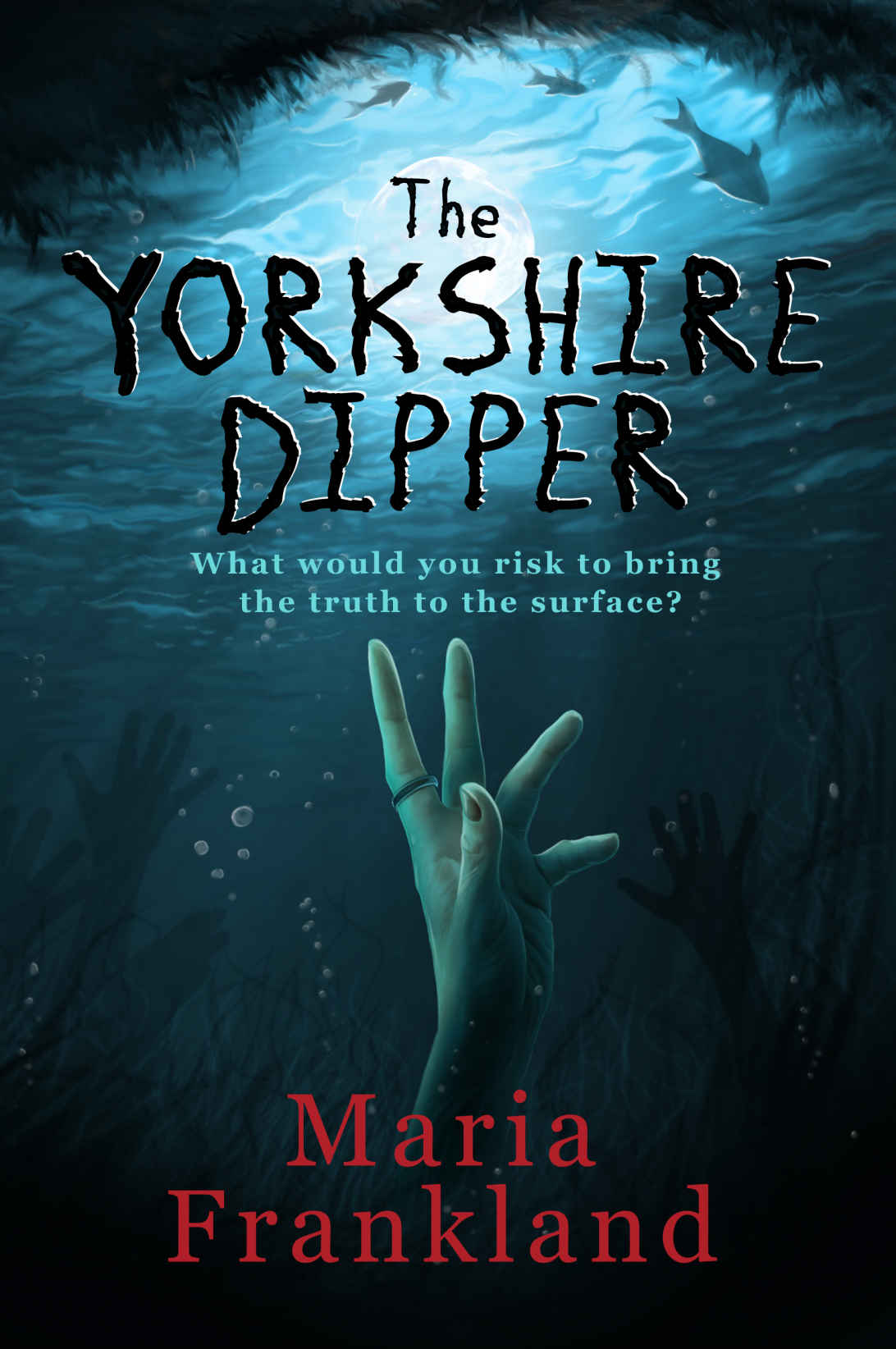 The Yorkshire Dipper: A compelling and twisty psychological thriller which will keep you hooked.