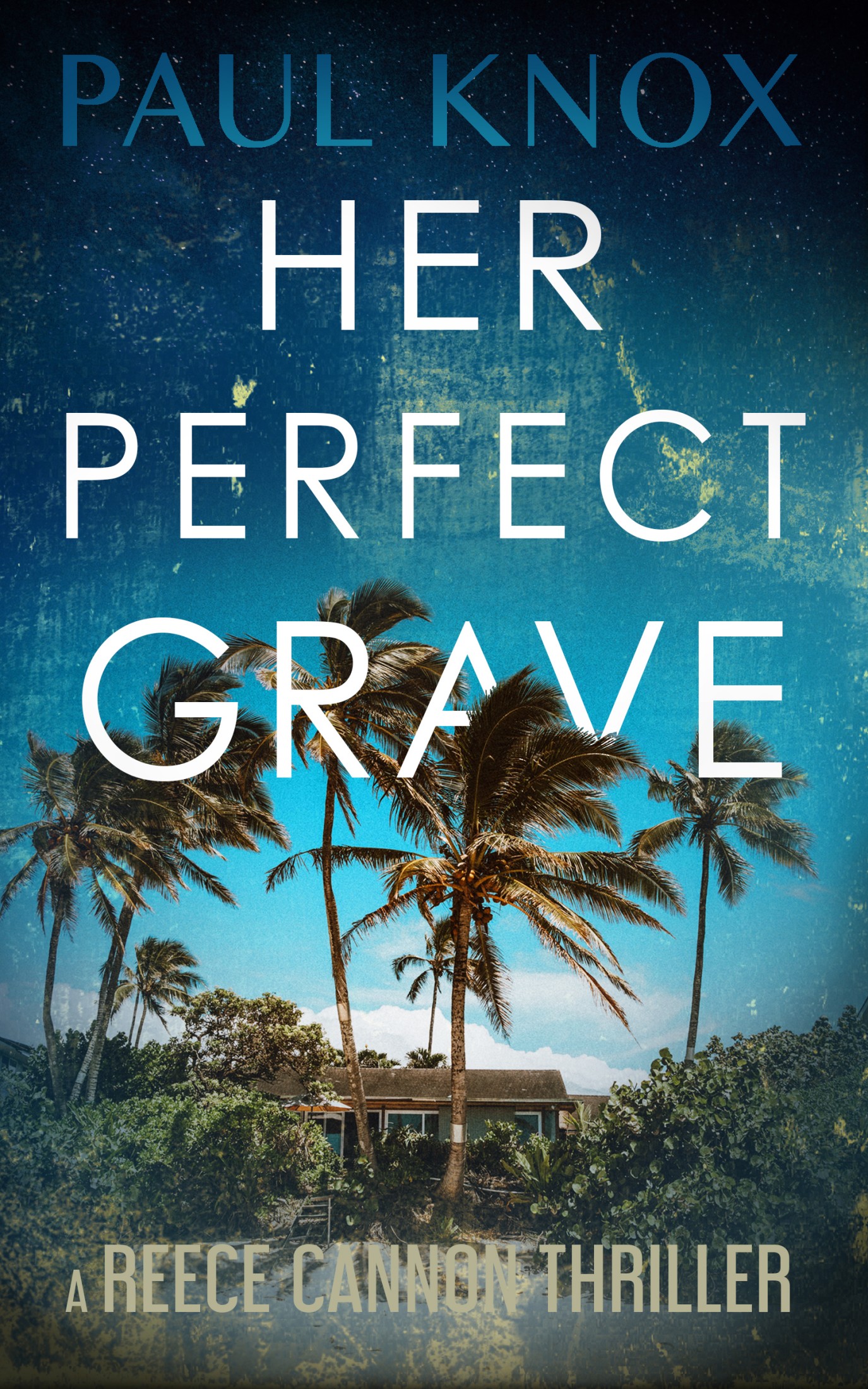 Her Perfect Grave: A completely addictive mystery thriller full of action and adventure (A Reece Cannon Thriller Book 6)