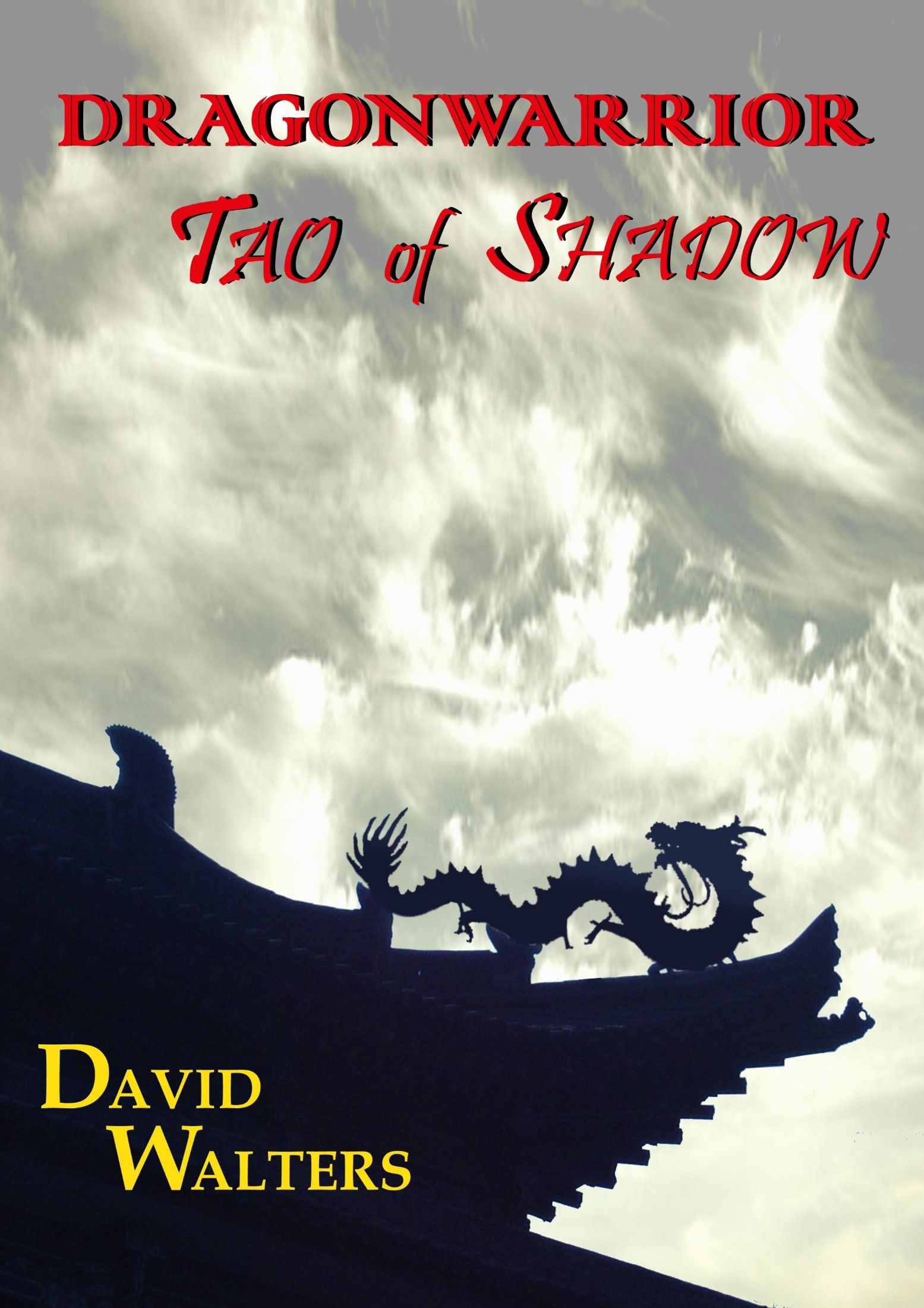 Dragonwarrior: Tao of Shadow (The Dragonwarrior Series Book 1)