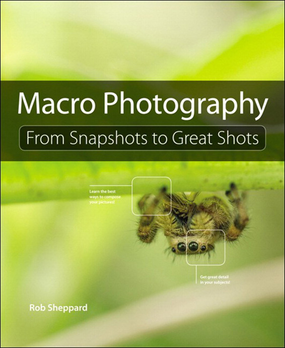 Macro Photography: From Snapshots to Great Shots