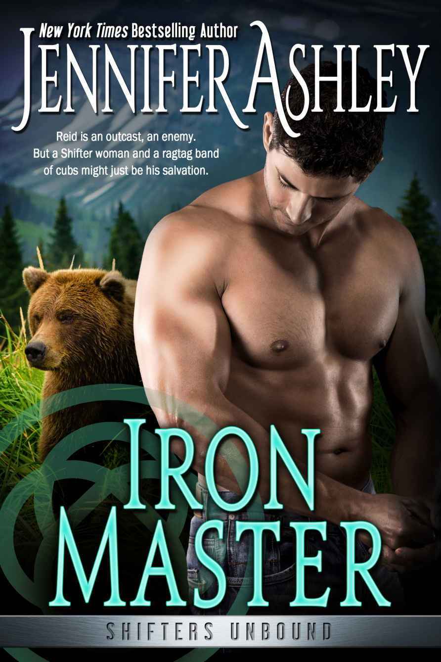 Iron Master (Shifters Unbound Book 12)