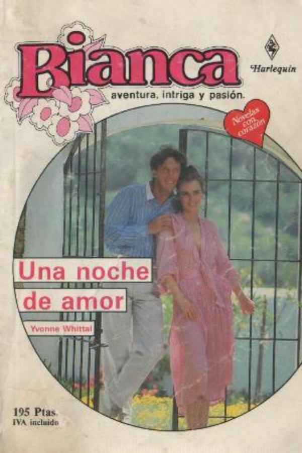 Una noche de amor