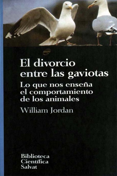 El divorcio entre las gaviotas