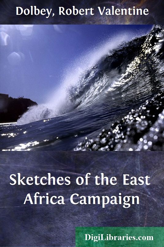 Sketches of the East Africa Campaign