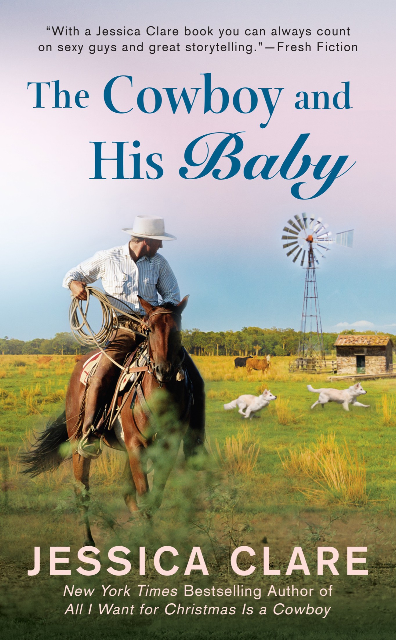 The Cowboy And His Baby (Wyoming Cowboys #2)