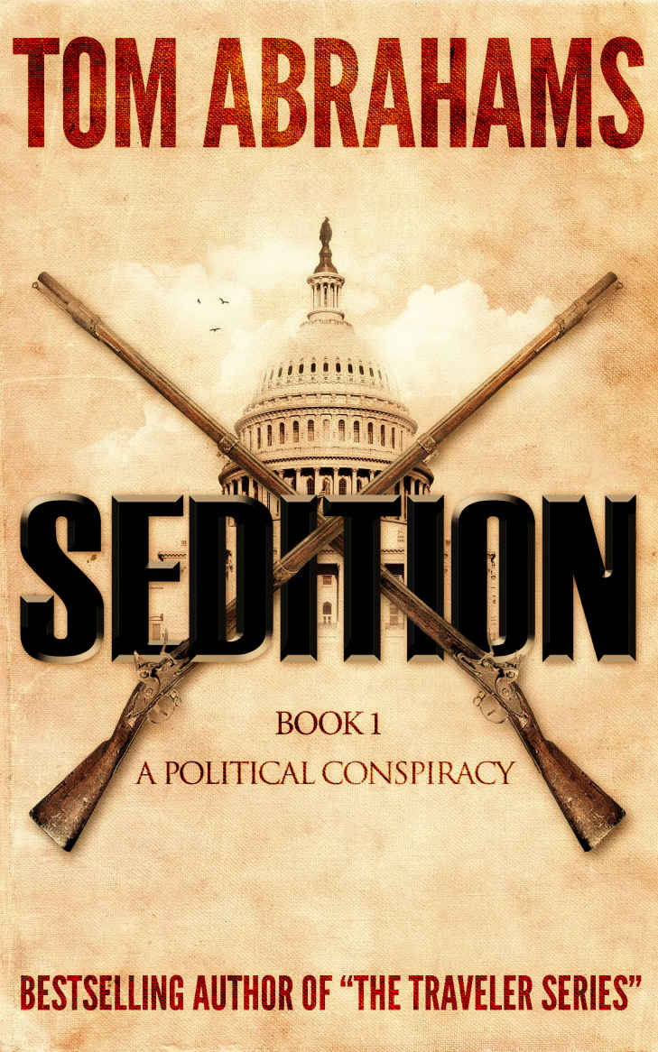 Sedition (A Political Conspiracy Book 1)