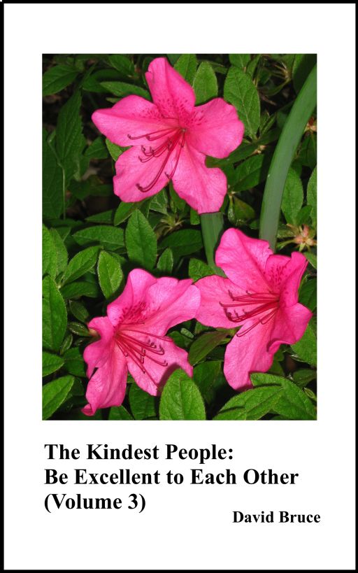 The Kindest People: Be Excellent to Each Other (Volume 3)