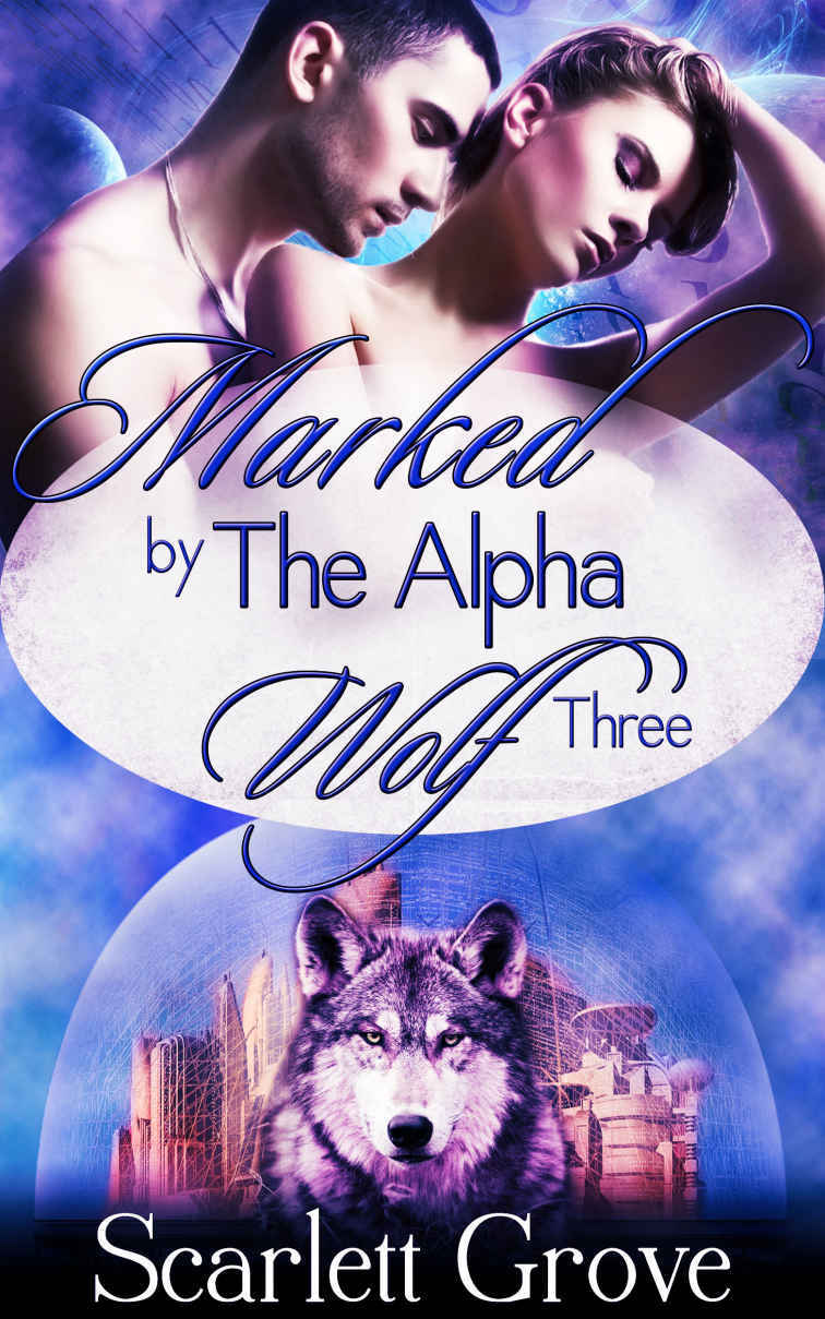 Marked By The Alpha Wolf 3