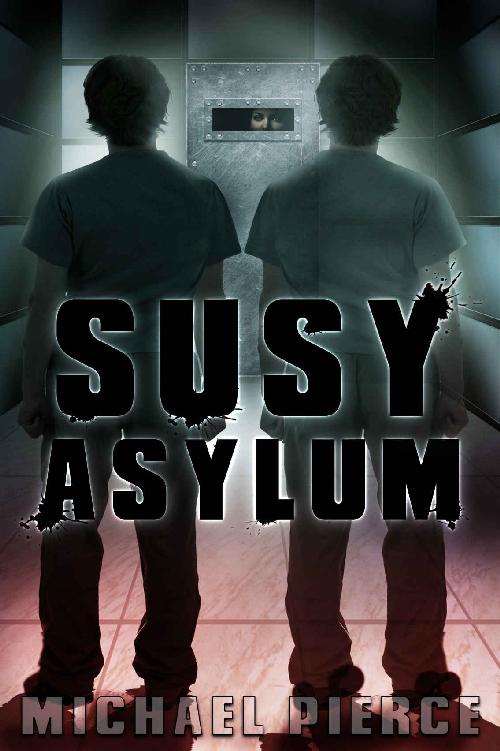 SUSY Asylum