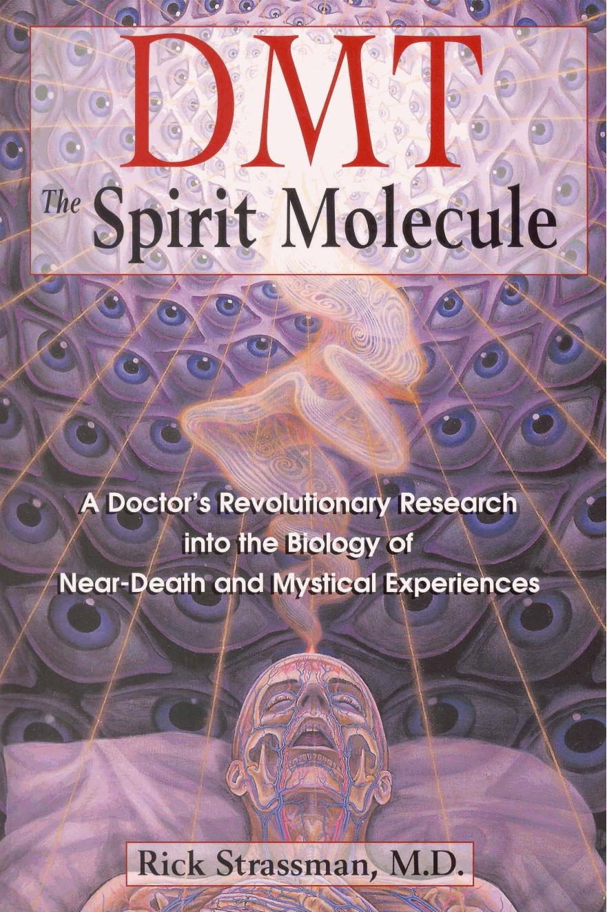 Dmt The Spirit Molecule A Doctors Revolutionary Research Into The Biology Of Near Death And Mystical Experiences Rick Strassman