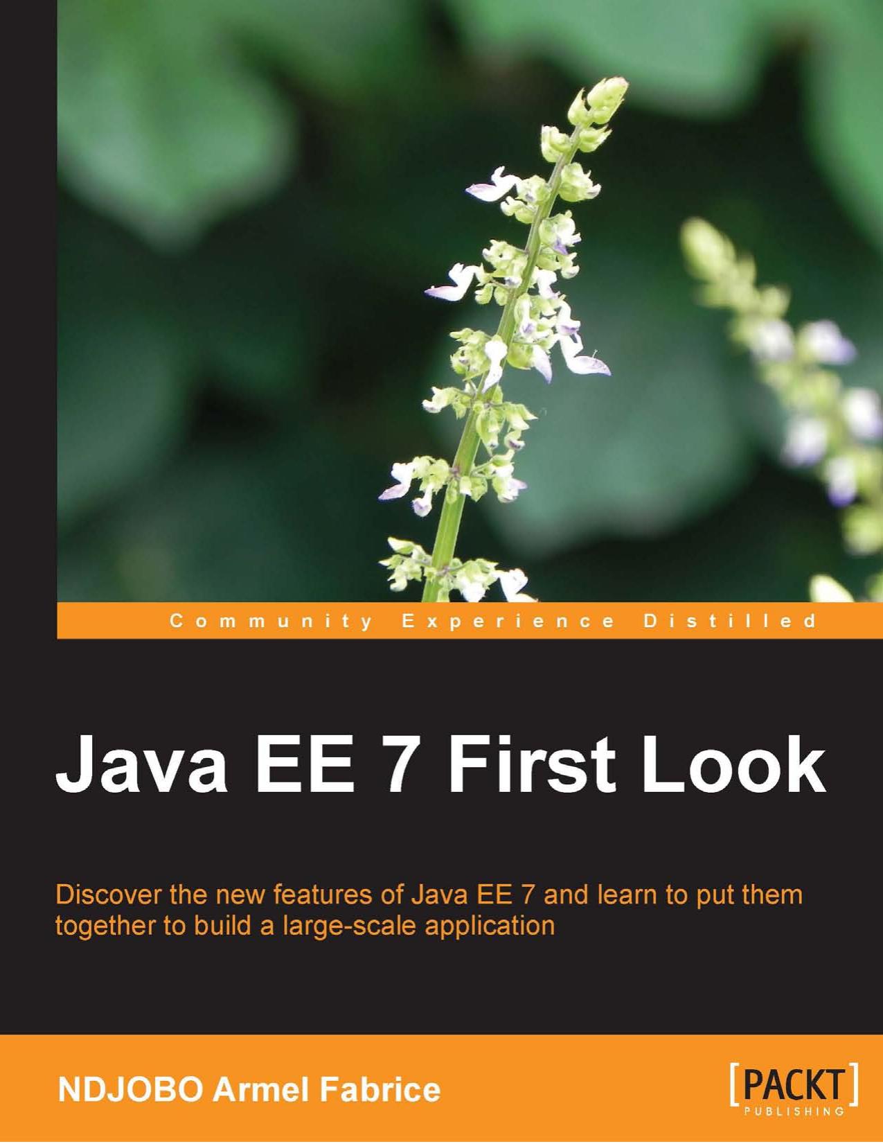 Fabrice Java EE 7 First Look 2013