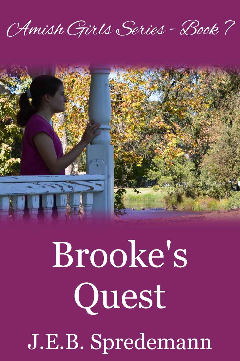 Brooke's Quest (Amish Girls #7)