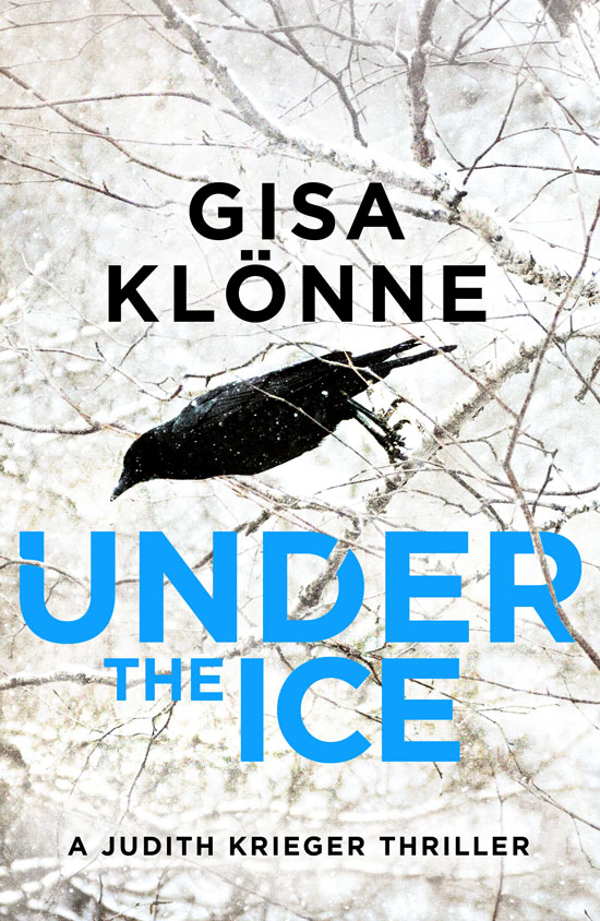 Judith Krieger : Under the Ice