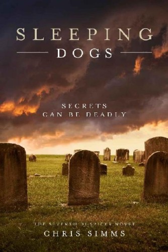 Sleeping Dogs