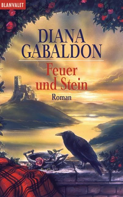 Feuer und Stein: Roman