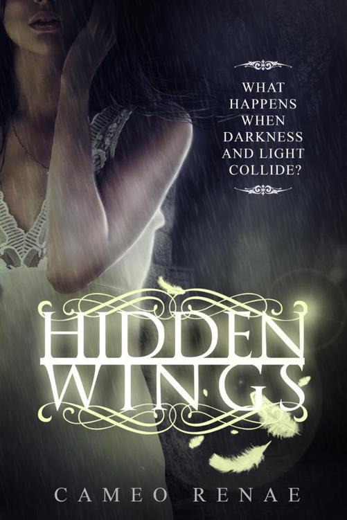 Hidden Wings (Hidden Wings #1)