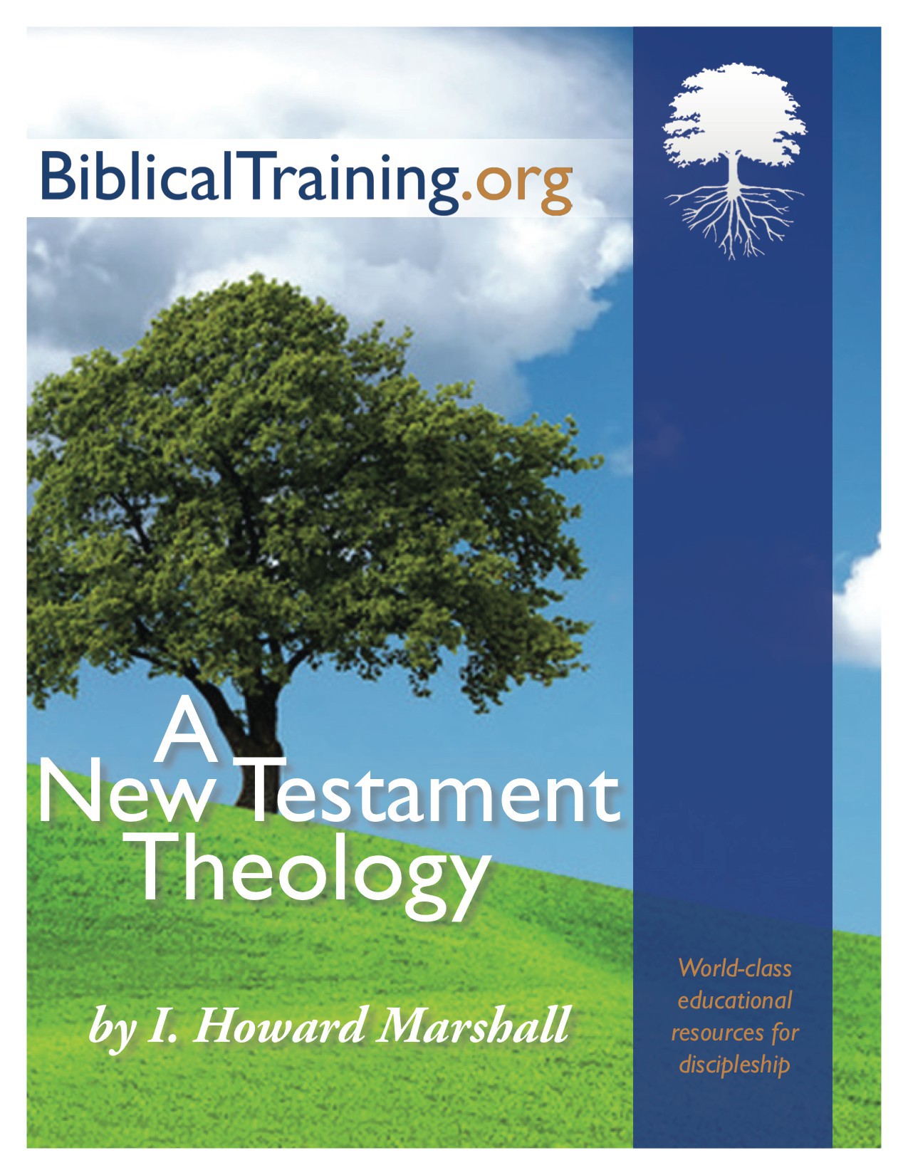 A Pocket Guide to New Testament Theology