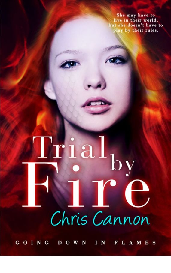 Trial By Fire (Going Down in Flames)