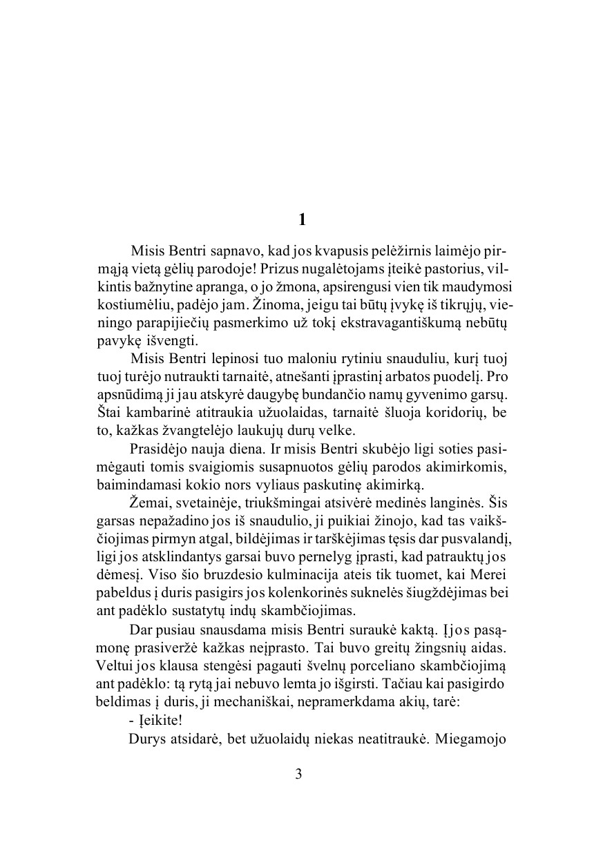 Atsitikimas senoje pilyje