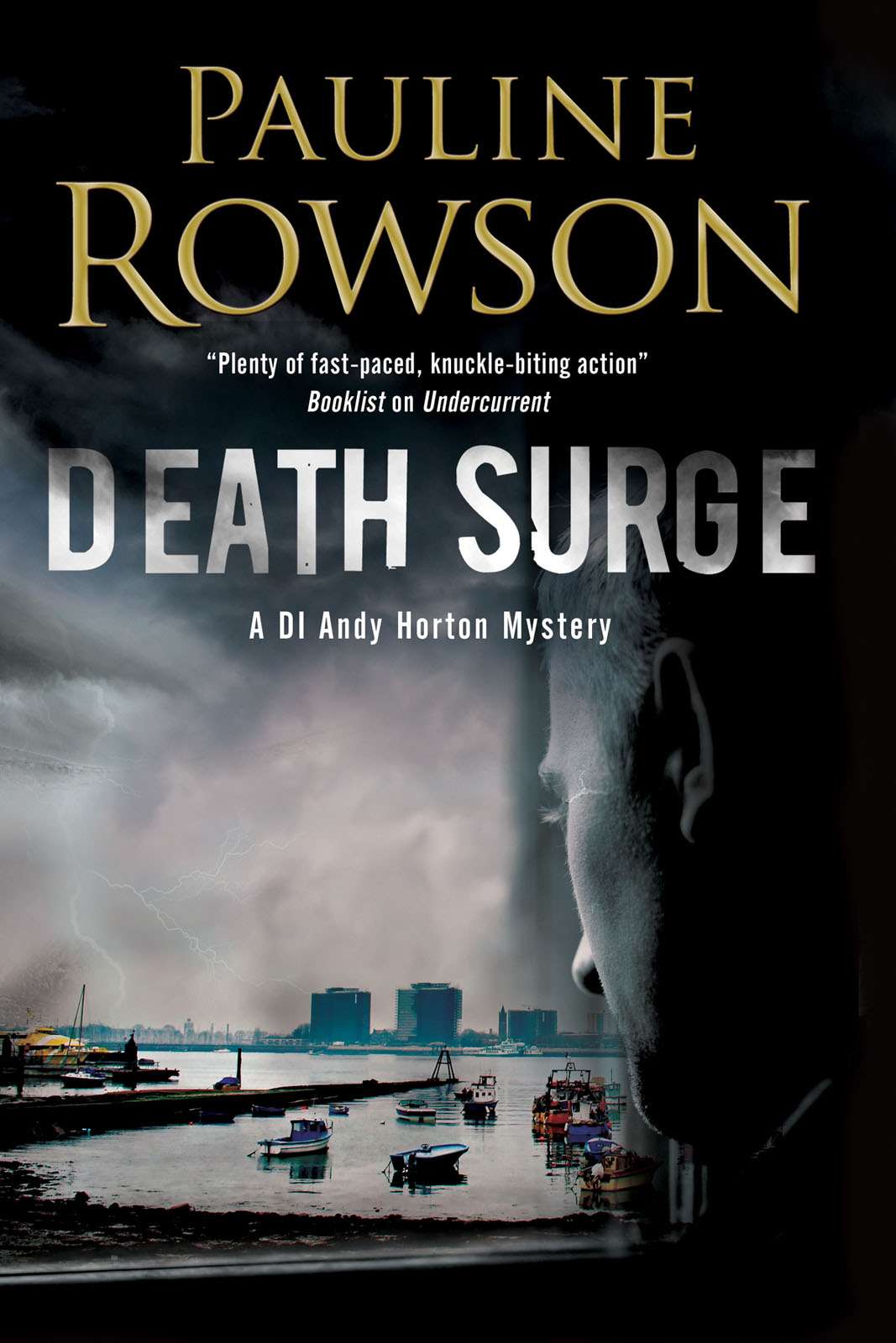 Death Surge (A DI Andy Horton Mystery)