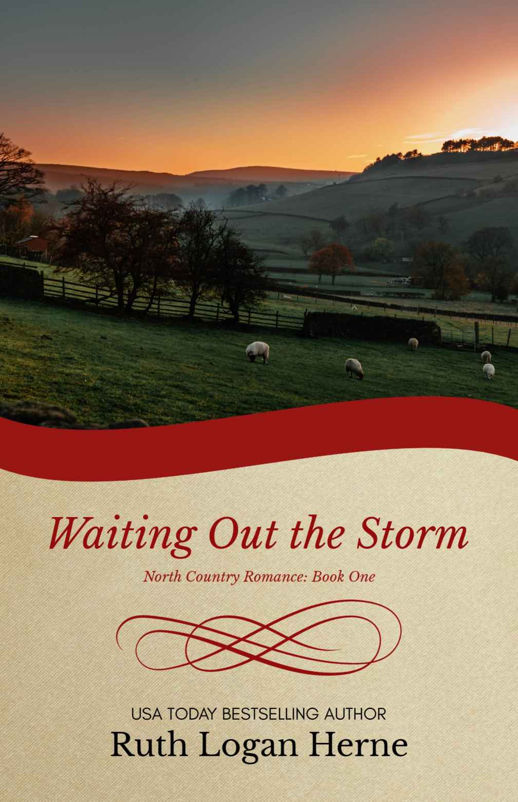 Waiting Out The Storm (North Country Romance #1)