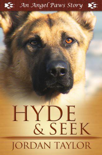 AP03 - Hyde and Seek