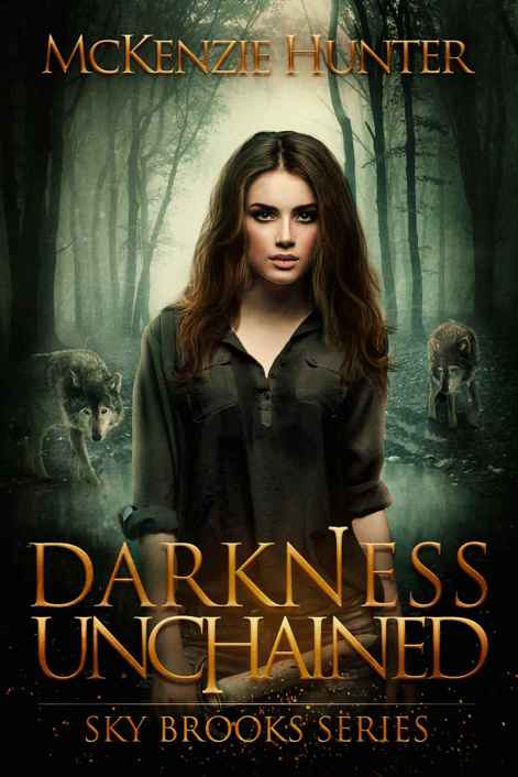 Darkness Unchained (Sky Brooks Series Book 2)