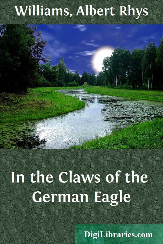 In the Claws of the German Eagle