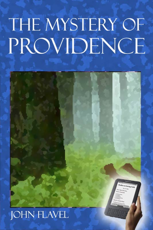 The Mystery of Providence