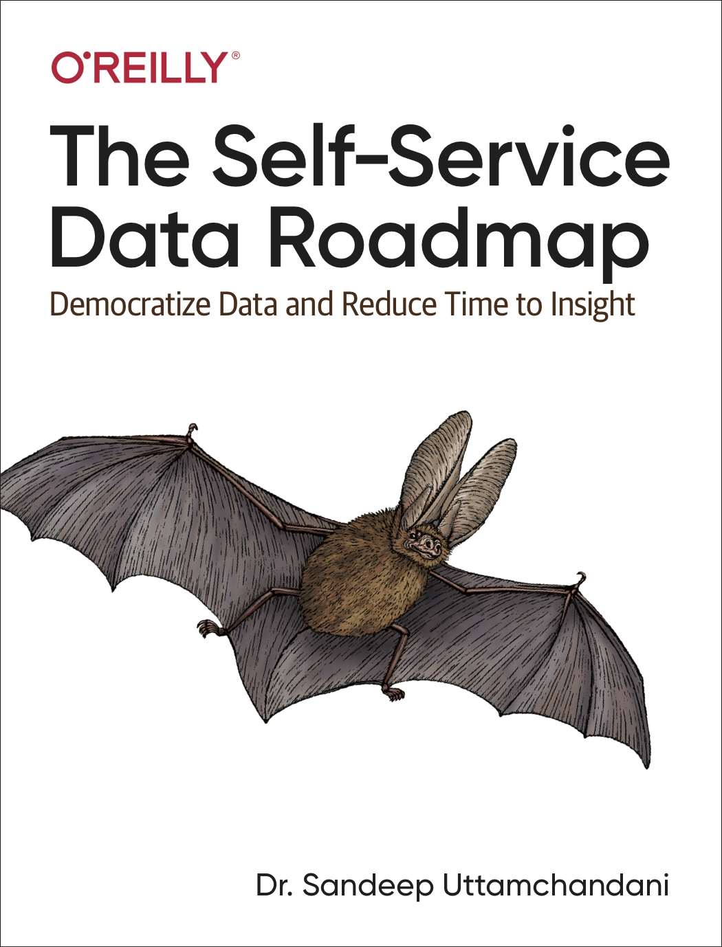 The Self-Service Data Roadmap